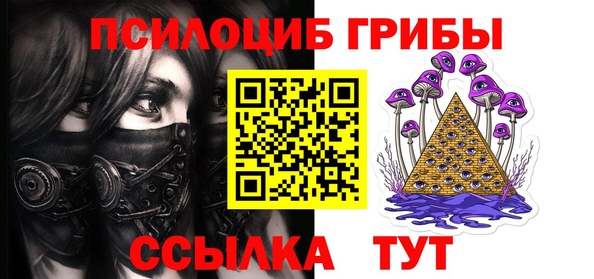 Кимовск  Галлюциногенные грибы Psilocybine cubensis  Вход с VPN 